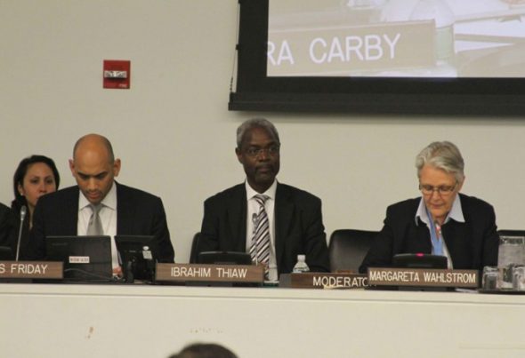 UNEP delivering a statement on behalf of PEDRR at the UN General Assembly Thematic Debate on Disaster Risk Reduction, April 2012
