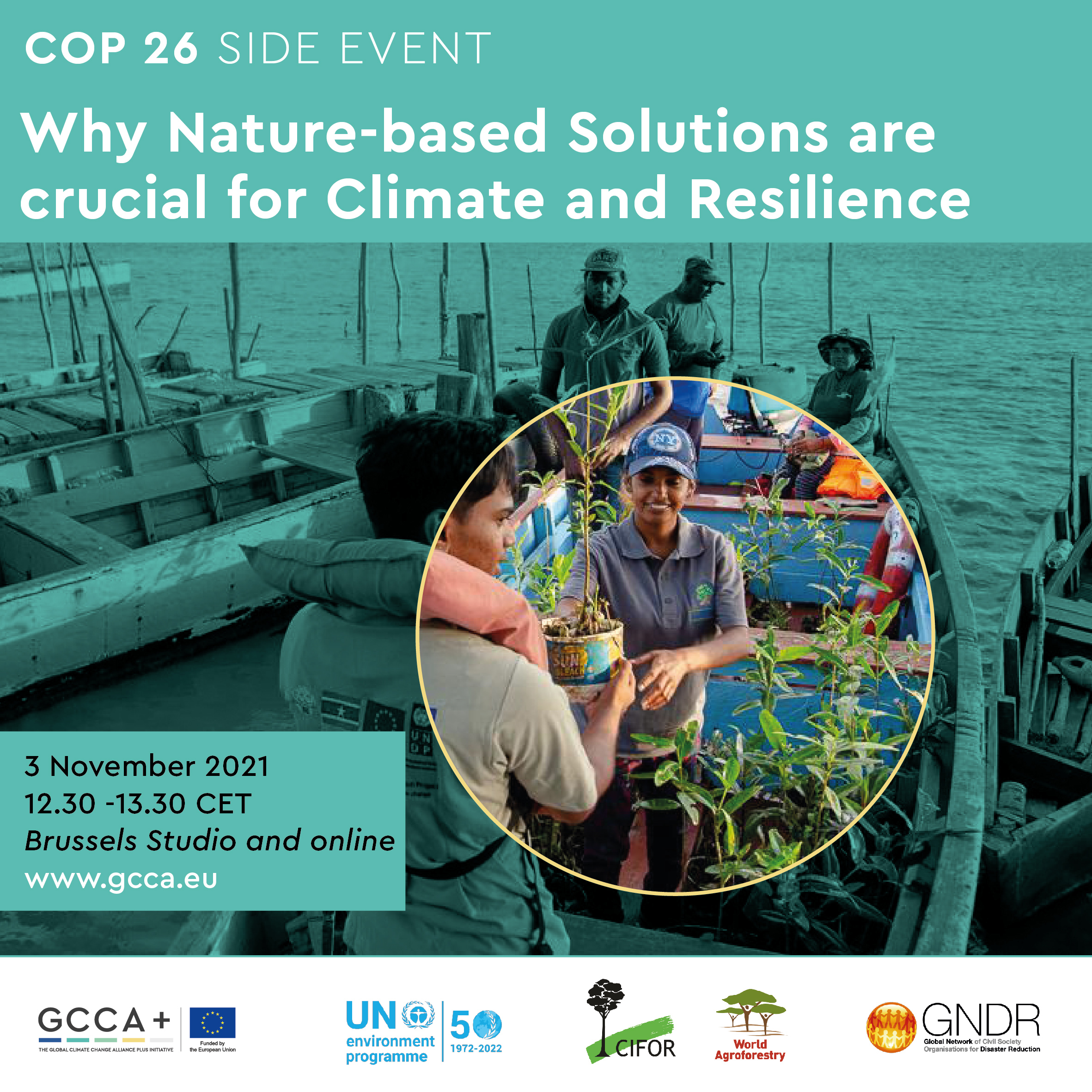 Why Nature based Solutions are crucial for climate and resilience - PEDRR