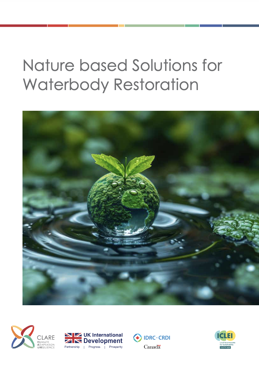Nature based Solutions for Waterbody Restoration